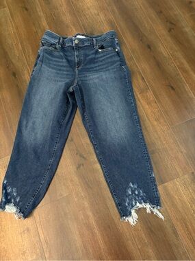 EUC Lane Bryant SIGNATURE FIT
HIGH-RISE GIRLFRIEND STRAIGHT jeans w/ frayed hem